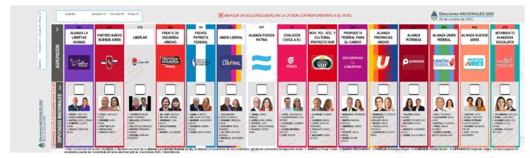 Elecciones Legislativas 2025: cómo, cuándo y qué se elige en cada provincia